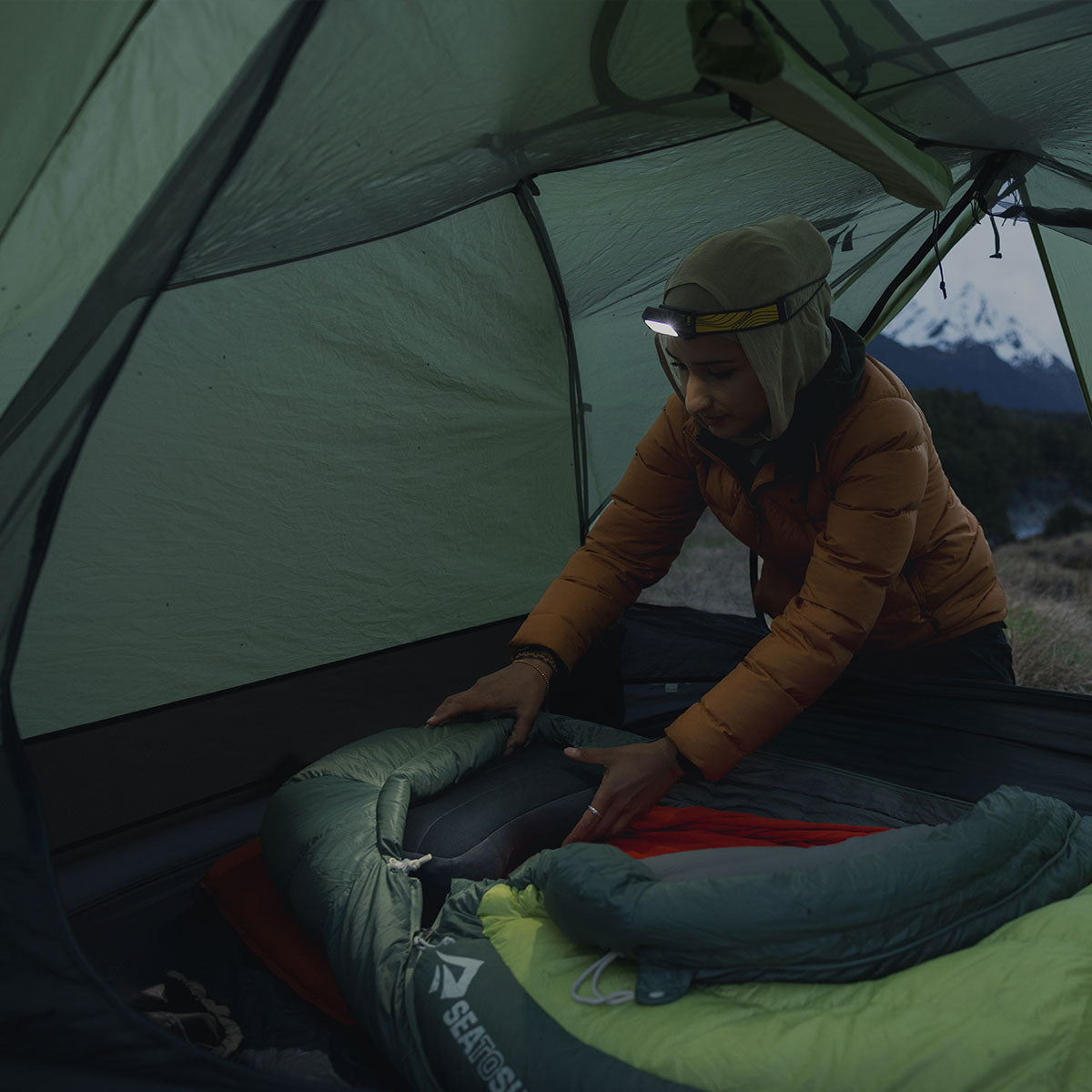 Sleep system