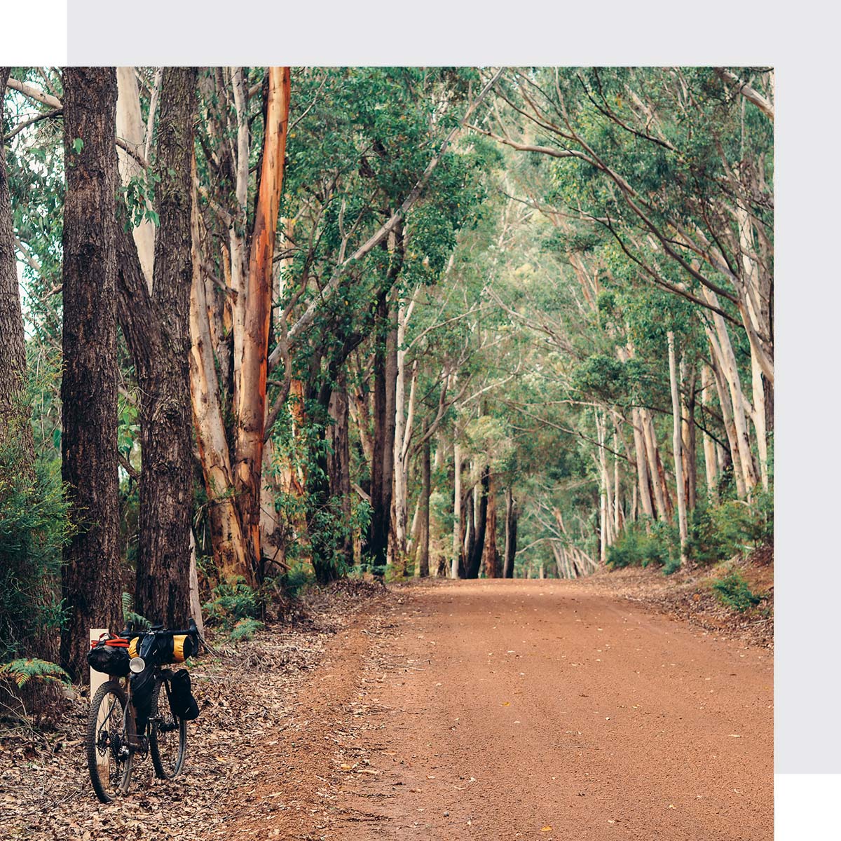 Munda Biddi Trail Foundation