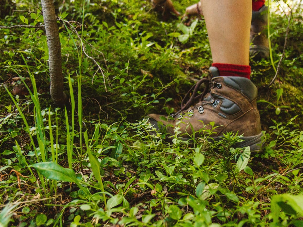 Tips for Hikers on Preventing and Treating Blisters