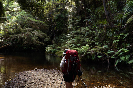 Into the deep end—my first 400km of the Te Araroa Trail