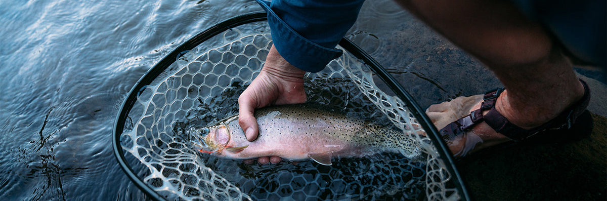 The Beginner’s Guide to Catching Your First Fish