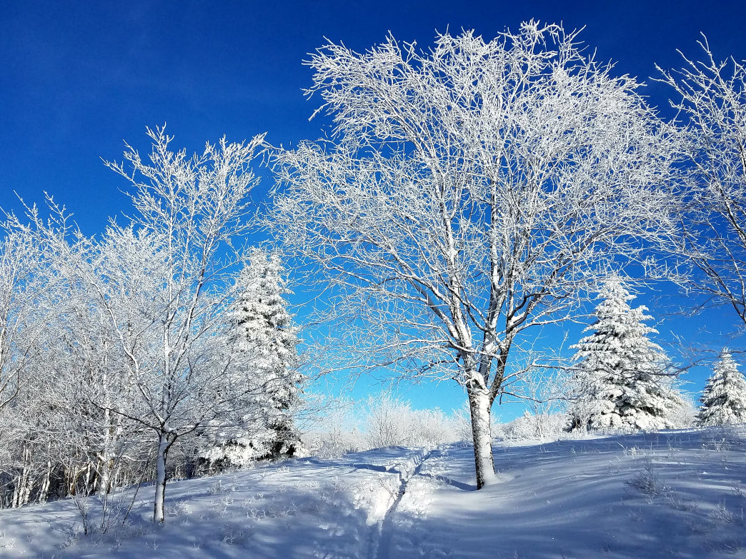 Snow Caves, Igloos, and Fending Off Frostbite: An Icy Cold Winter Adventure