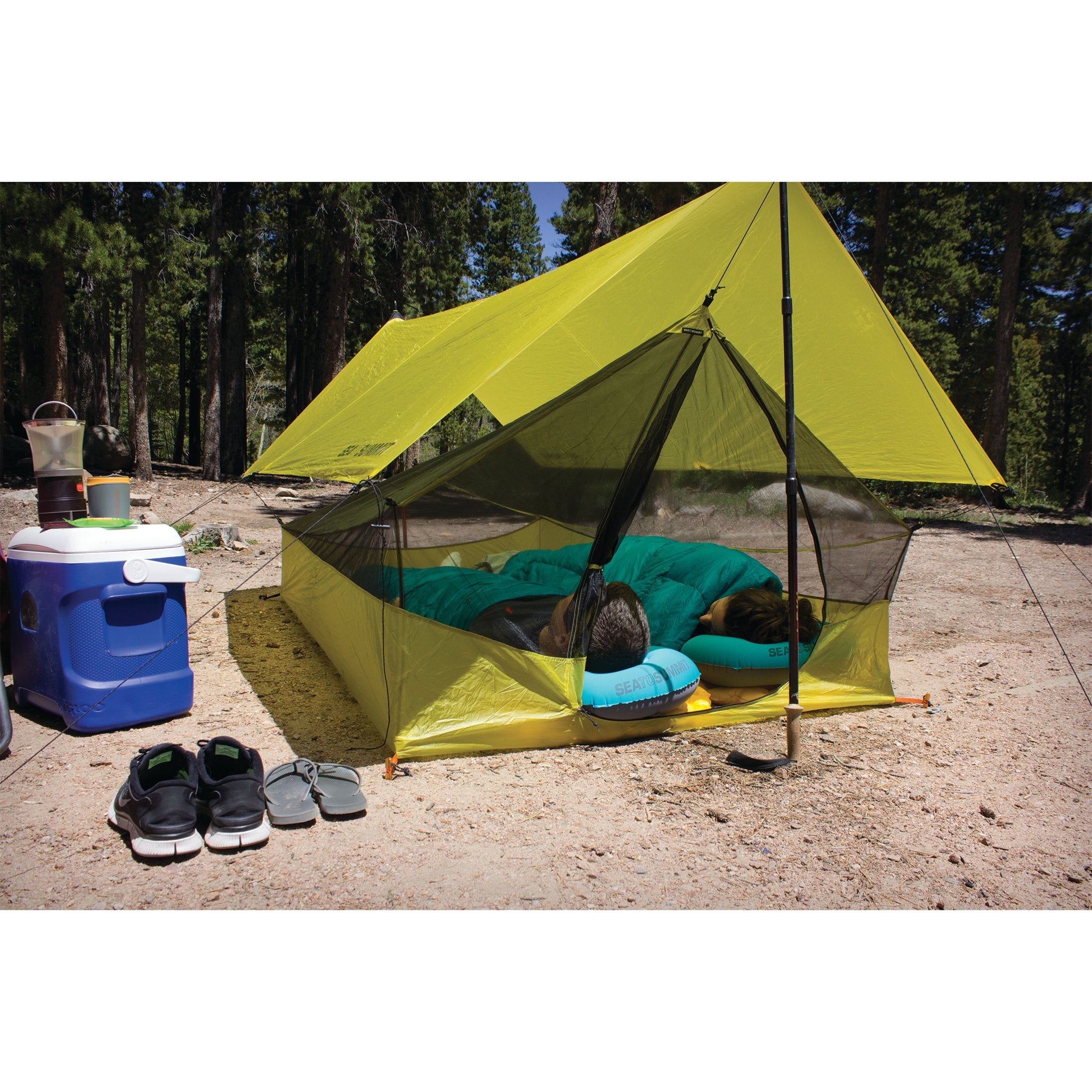 Mosquitoes tent clearance